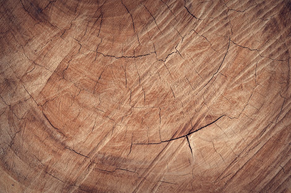 Kanodya craftsmen working on a wooden table